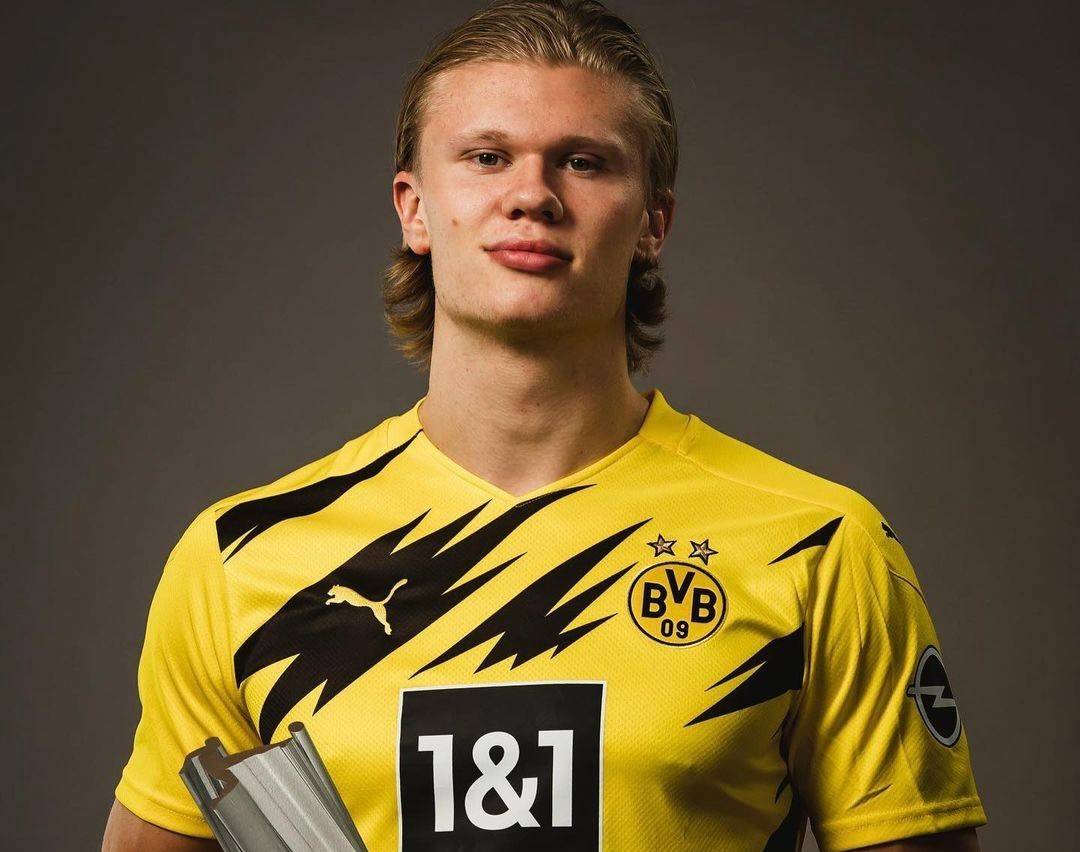 选择能力 选择能力